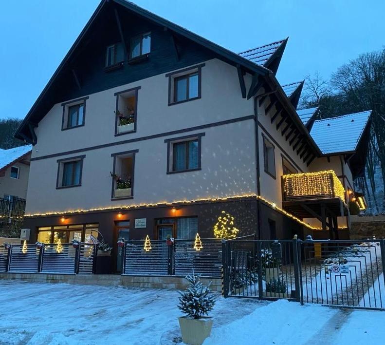 Silvan Villa - Apart Сигишоара Екстериор снимка